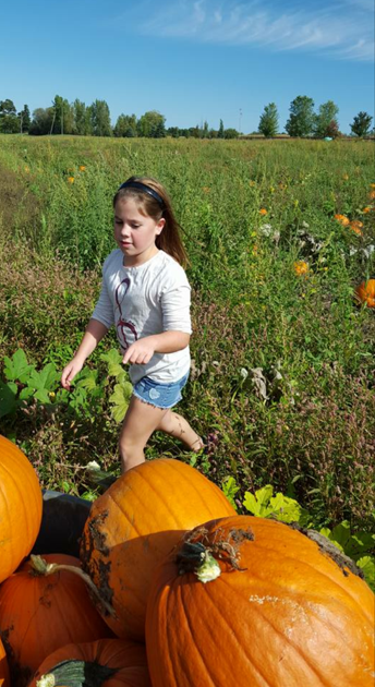 pumpkin patch